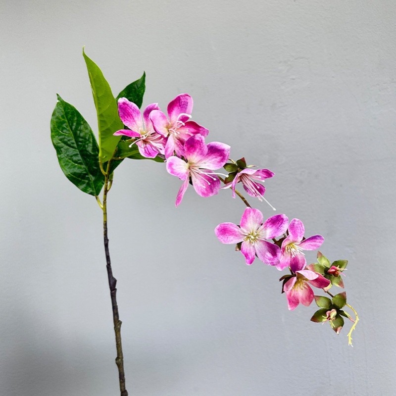 ดอกมะลิประดิษฐ์แขวนตกแต่งบ้าน  - Home Fragrance Jasmine บทวิจารณ์และราคา